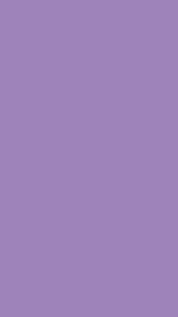 colors-cat2