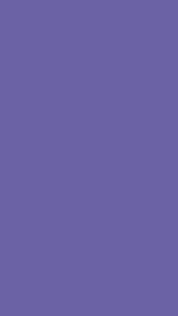 colors-cat4