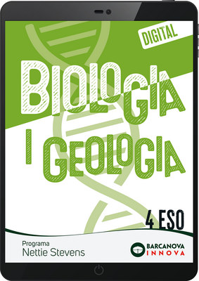 a2eb52a076ca3b4cbbe291cf7e676a50d35f8465_cob_dig_nettie_4.png