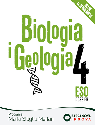 667936696215ea693d2b001ef4cd8fbf77f19b56_cob_sibylla_4.jpg