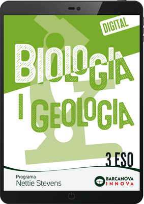 2365eafdaea90c81011a9b7be98f1dc08e4a6a2b_cob_dig_nettie_3.png
