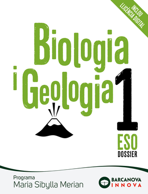 92069fa2cb11637ebc65f62357c5d9303a9c24d5_cob_sibylla_1.jpg